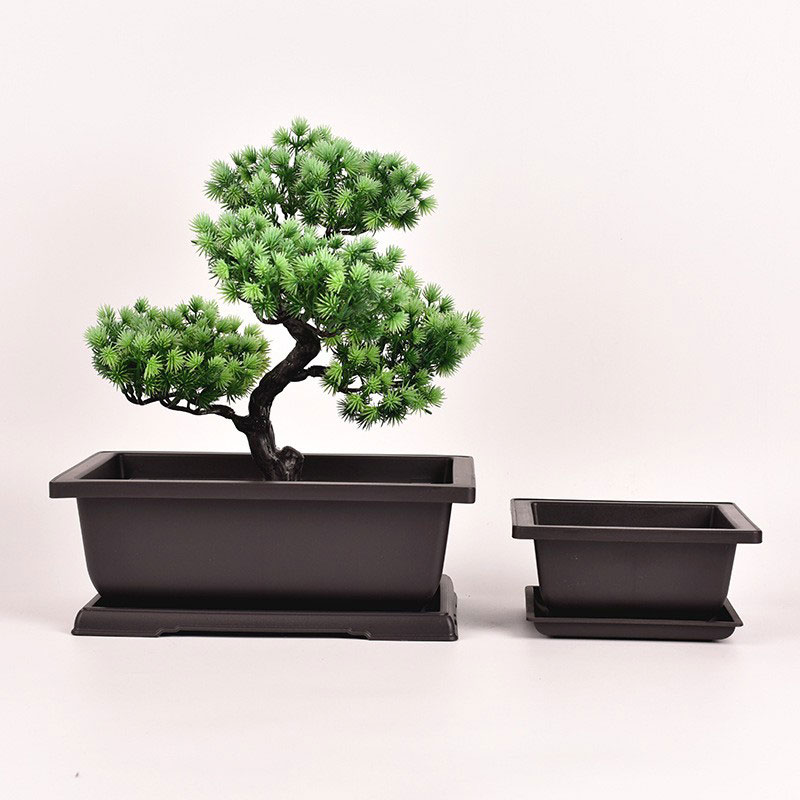 Dronuilleog Bonsai Pot